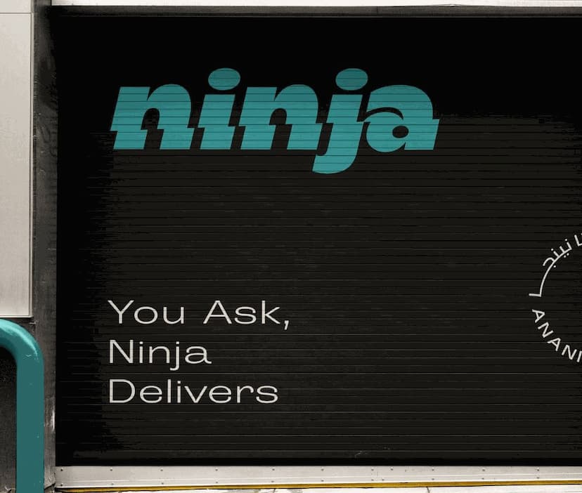 Ninja portfolio highlight